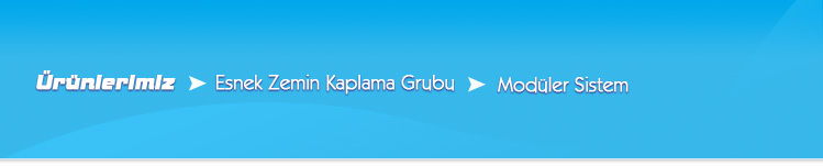 Modler Sistem