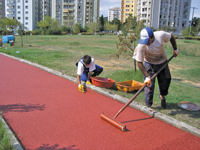 Spor Sahalar